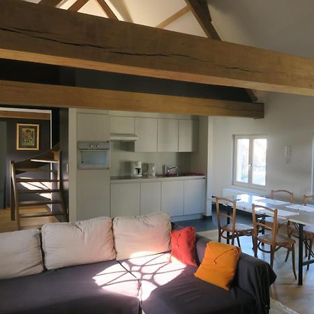 B&B / Studio De Druivelaar In Hartje Kluisbergen Ngoại thất bức ảnh