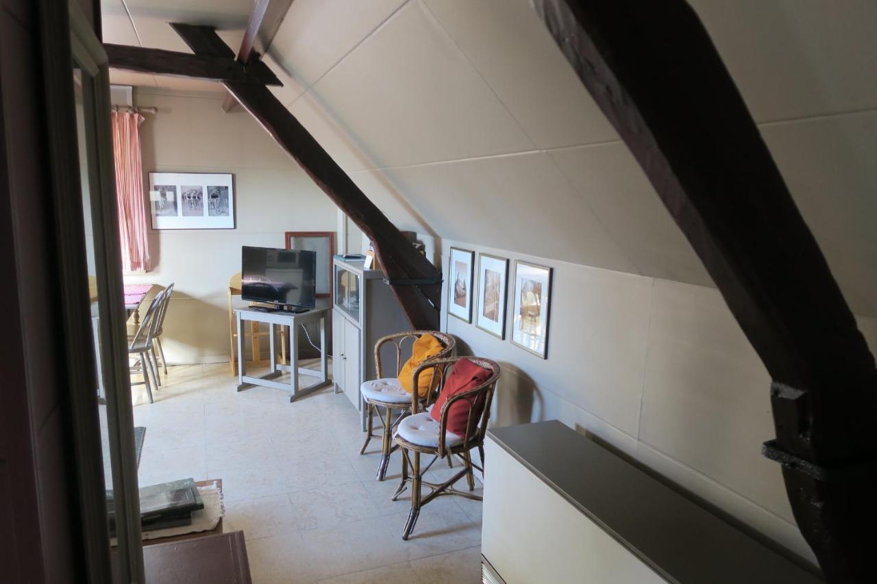 B&B / Studio De Druivelaar In Hartje Kluisbergen Ngoại thất bức ảnh